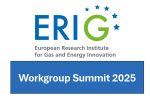 Review to our ERIG Workgroup Summit 2025