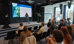 Review to the ELEVATEcee Working Conference #1, Vienna, 24 March 2026